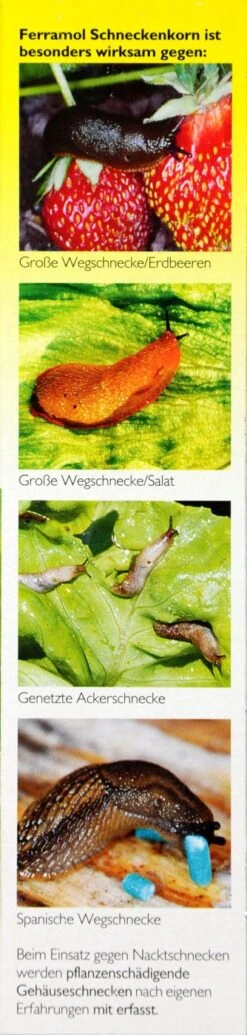 Neudorff Ferramol Schneckenkorn - 500 G -Ausgewählte Gartenpflegegeschäfte Neudorff20Ferramol20Schneckenkorn 32718 R01